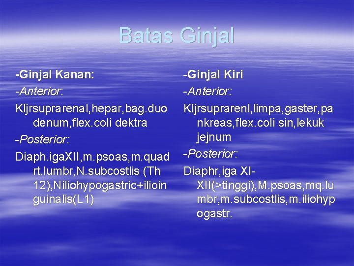 Batas Ginjal -Ginjal Kanan: -Anterior: Kljrsuprarenal, hepar, bag. duo denum, flex. coli dektra -Posterior: