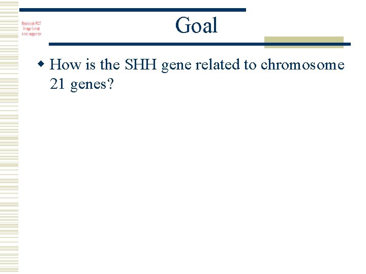 Goal w How is the SHH gene related to chromosome 21 genes? 