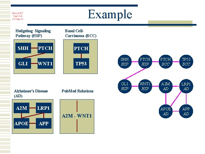 Example Hedgehog Signaling Pathway (HSP) SHH GLI PTCH WNT 1 Alzheimer's Disease (AD) A