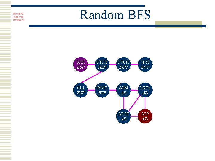 Random BFS SHH HSP PTCH BCC TP 53 BCC GLI HSP WNT 1 HSP