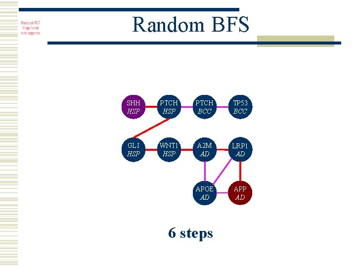 Random BFS SHH HSP PTCH BCC TP 53 BCC GLI HSP WNT 1 HSP