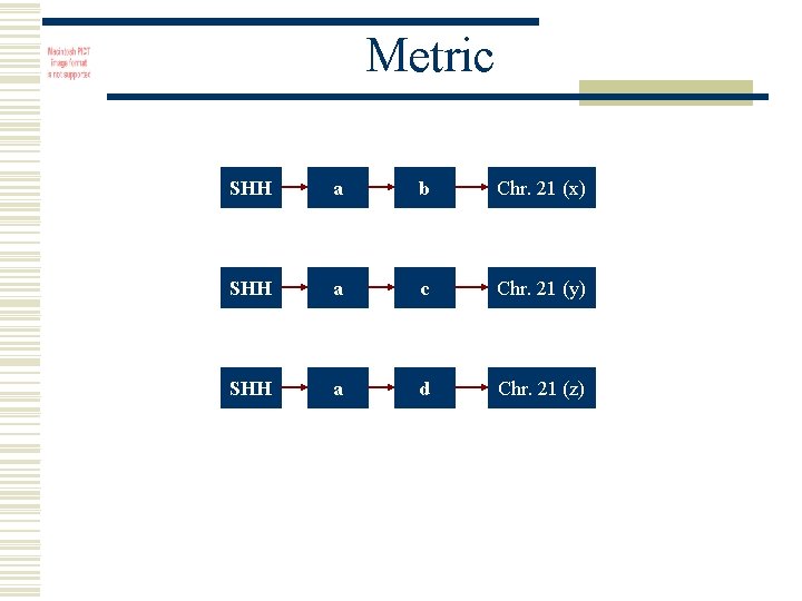Metric SHH a b Chr. 21 (x) SHH a c Chr. 21 (y) SHH