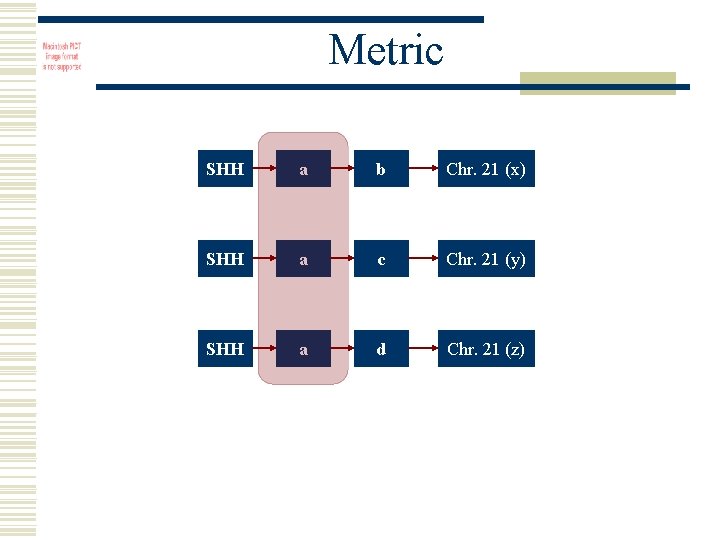 Metric SHH a b Chr. 21 (x) SHH a c Chr. 21 (y) SHH