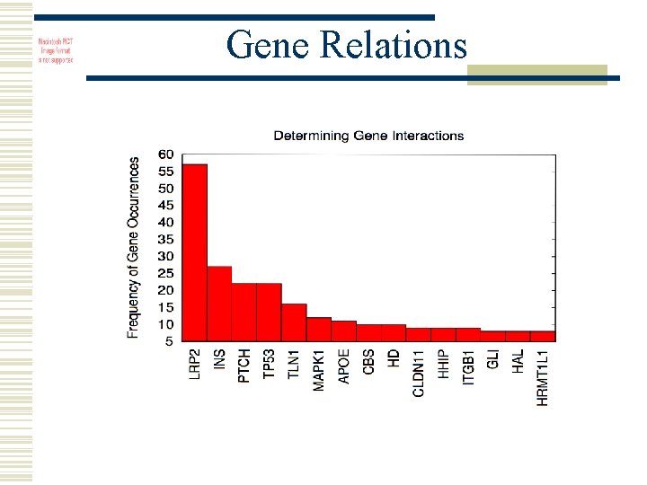 Gene Relations 