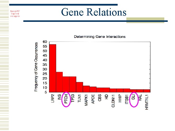 Gene Relations 