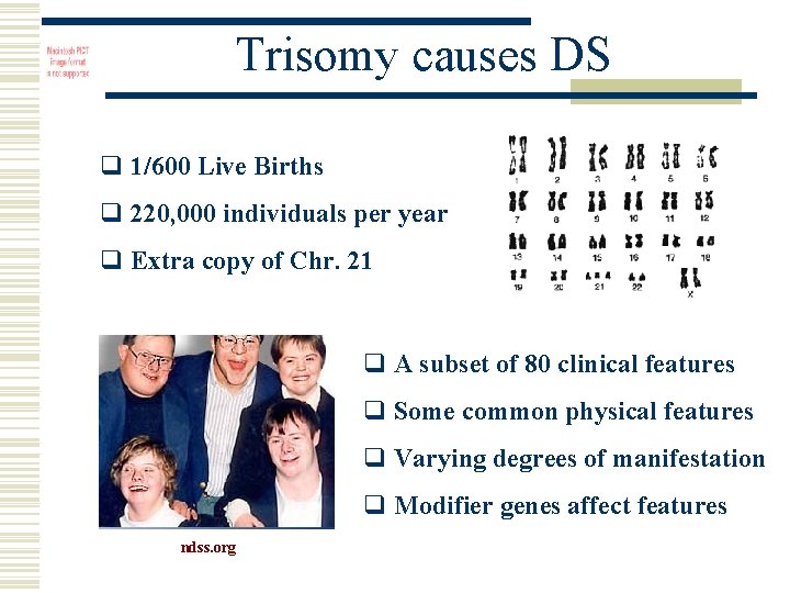 Trisomy causes DS q 1/600 Live Births q 220, 000 individuals per year q