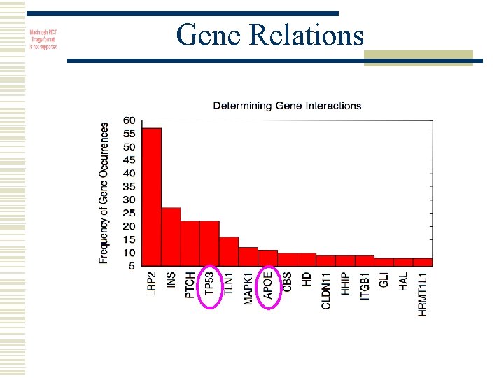 Gene Relations 