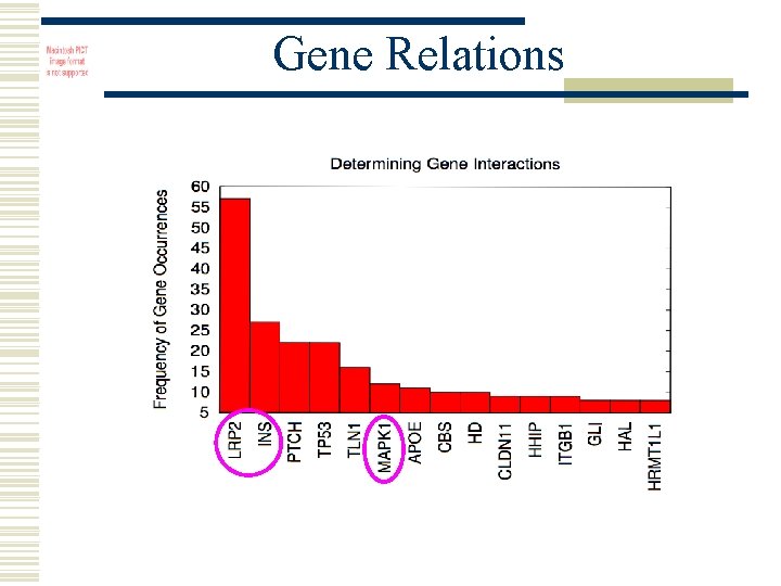 Gene Relations 