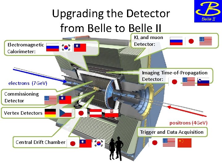 Upgrading the Detector from Belle to Belle II Electromagnetic Calorimeter: electrons (7 Ge. V)