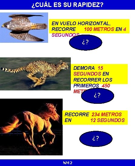 ¿CUÁL ES SU RAPIDEZ? EN VUELO HORIZONTAL, RECORRE 100 METROS EN 4 SEGUNDOS ¿?