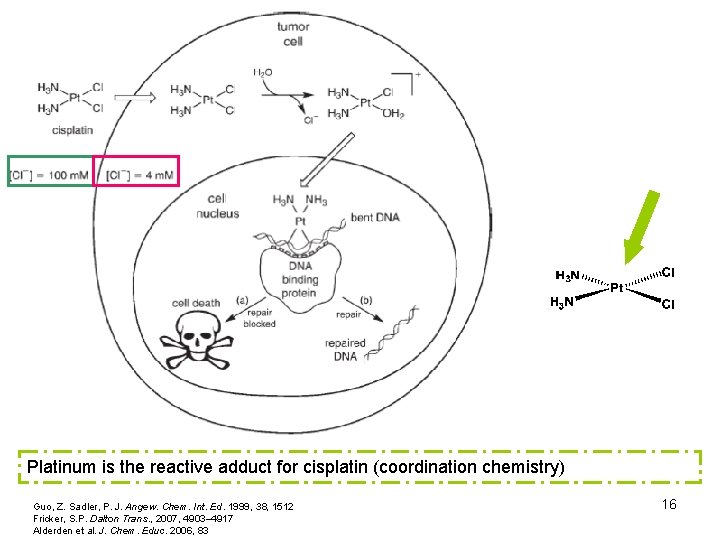 Platinum is the reactive adduct for cisplatin (coordination chemistry) Guo, Z. Sadler, P. J.