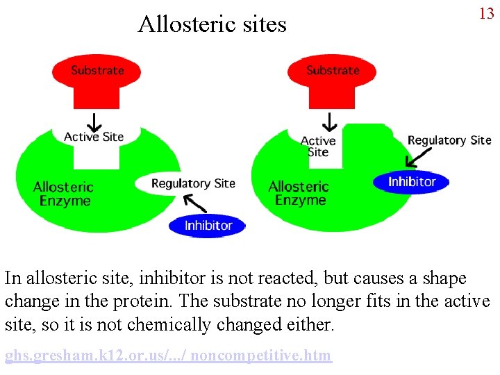 Allosteric sites 13 In allosteric site, inhibitor is not reacted, but causes a shape