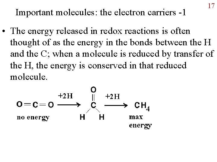 Important molecules: the electron carriers -1 17 • The energy released in redox reactions