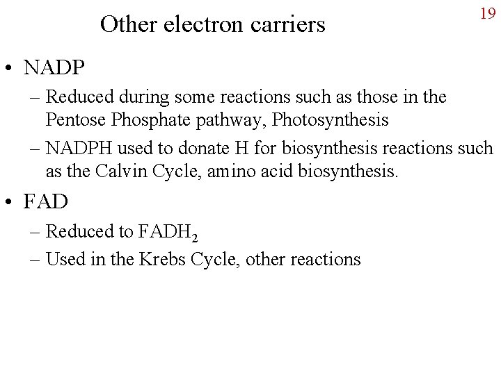 Other electron carriers 19 • NADP – Reduced during some reactions such as those