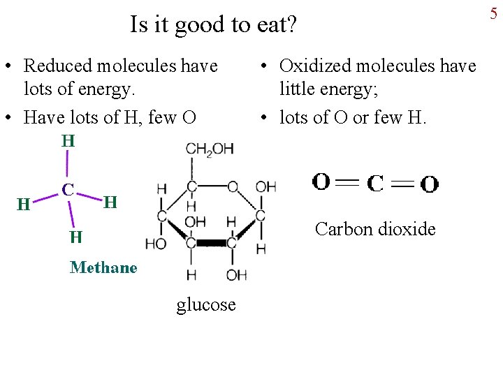 5 Is it good to eat? • Reduced molecules have lots of energy. •