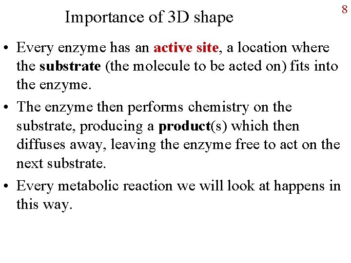 Importance of 3 D shape • Every enzyme has an active site, a location