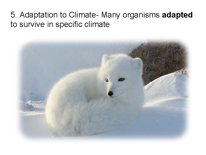5. Adaptation to Climate- Many organisms adapted to survive in specific climate 