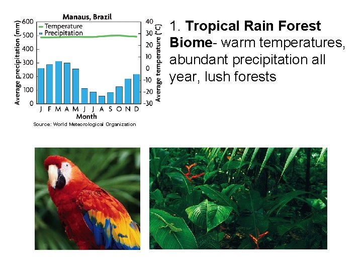 1. Tropical Rain Forest Biome- warm temperatures, abundant precipitation all year, lush forests Source:
