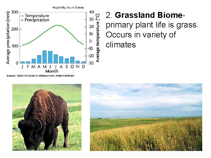 2. Grassland Biomeprimary plant life is grass. Occurs in variety of climates 