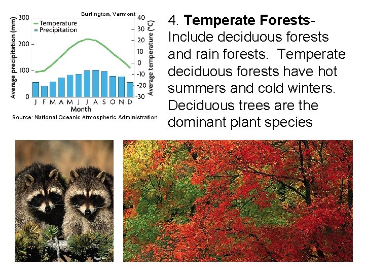 4. Temperate Forests. Include deciduous forests and rain forests. Temperate deciduous forests have hot