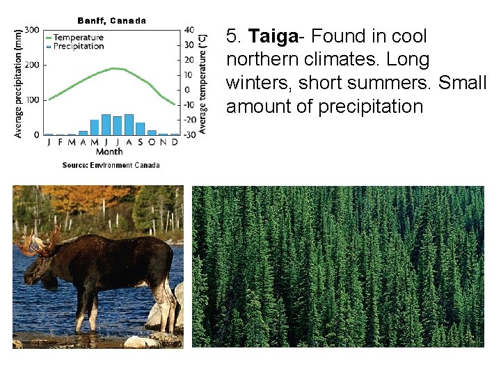 5. Taiga- Found in cool northern climates. Long winters, short summers. Small amount of
