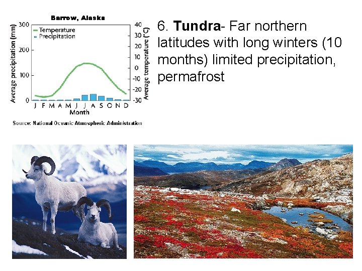 6. Tundra- Far northern latitudes with long winters (10 months) limited precipitation, permafrost 