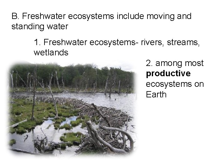 B. Freshwater ecosystems include moving and standing water 1. Freshwater ecosystems- rivers, streams, wetlands