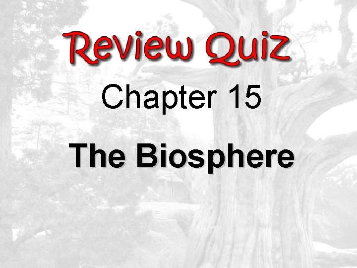 Chapter 15 The Biosphere 