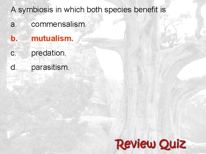 A symbiosis in which both species benefit is a. commensalism. b. mutualism. c. predation.