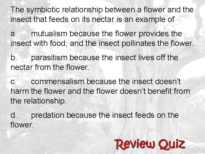The symbiotic relationship between a flower and the insect that feeds on its nectar