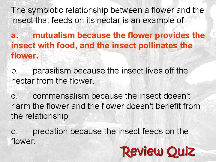 The symbiotic relationship between a flower and the insect that feeds on its nectar