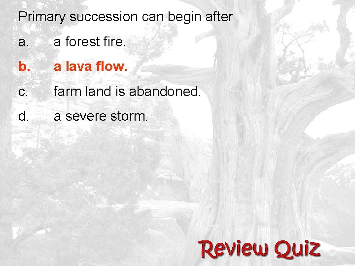 Primary succession can begin after a. a forest fire. b. a lava flow. c.