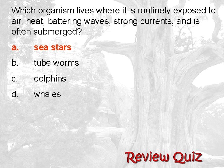 Which organism lives where it is routinely exposed to air, heat, battering waves, strong