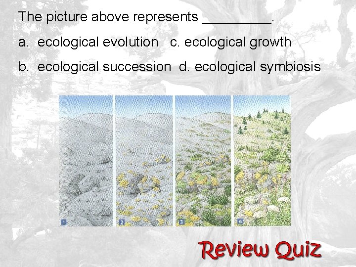 The picture above represents _____. a. ecological evolution c. ecological growth b. ecological succession