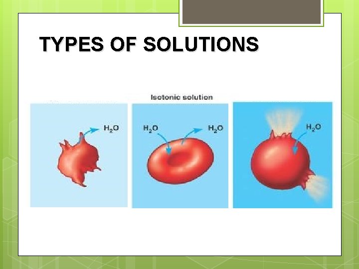 TYPES OF SOLUTIONS 
