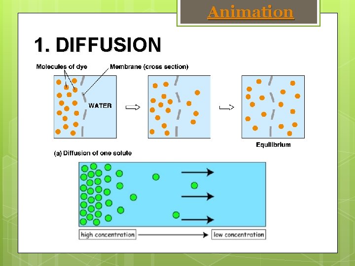 Animation 1. DIFFUSION 