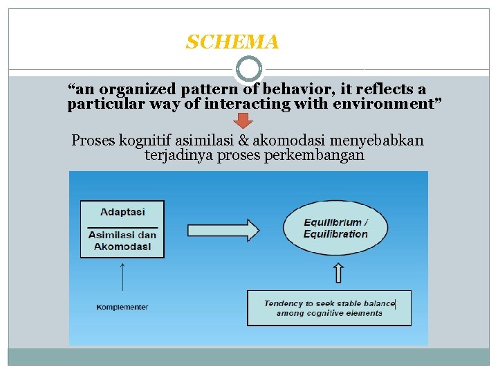 SCHEMA “an organized pattern of behavior, it reflects a particular way of interacting with
