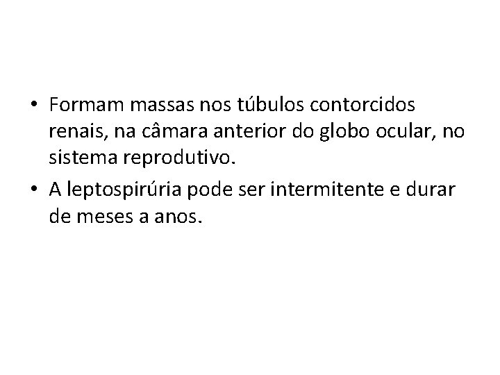  • Formam massas nos túbulos contorcidos renais, na câmara anterior do globo ocular,