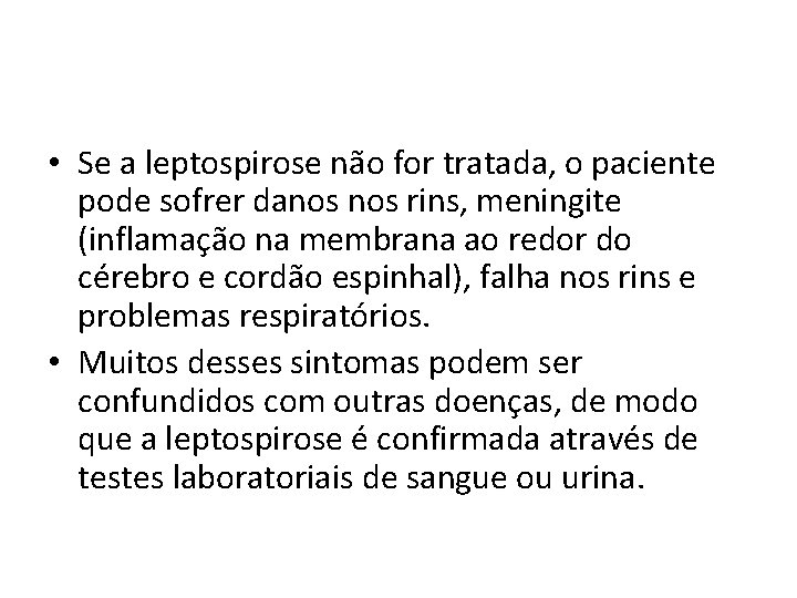  • Se a leptospirose não for tratada, o paciente pode sofrer danos rins,