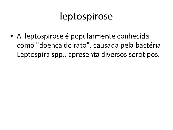 leptospirose • A leptospirose é popularmente conhecida como "doença do rato", causada pela bactéria