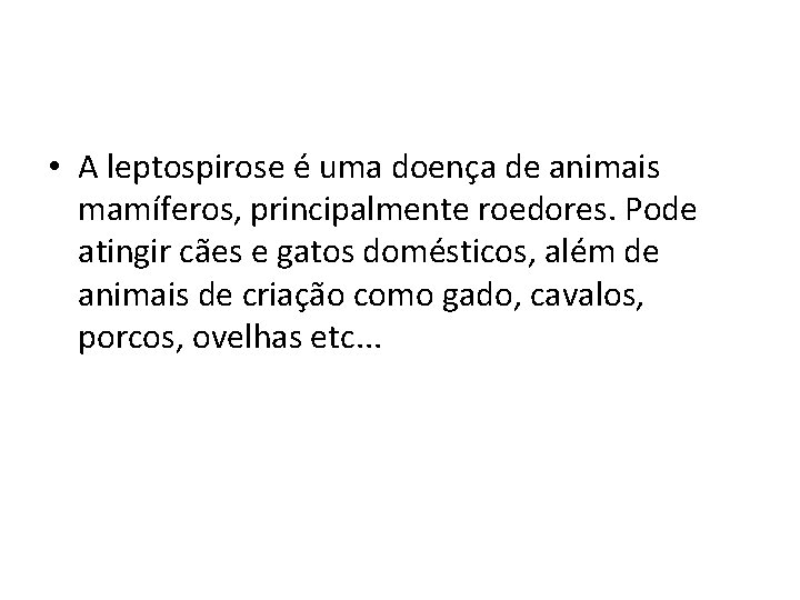  • A leptospirose é uma doença de animais mamíferos, principalmente roedores. Pode atingir