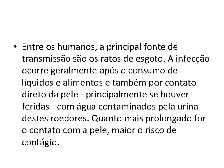  • Entre os humanos, a principal fonte de transmissão os ratos de esgoto.