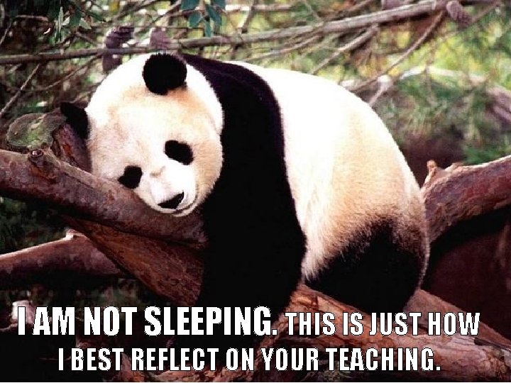 I AM NOT SLEEPING. THIS IS JUST HOW I BEST REFLECT ON YOUR TEACHING.