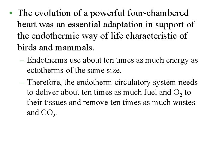  • The evolution of a powerful four-chambered heart was an essential adaptation in