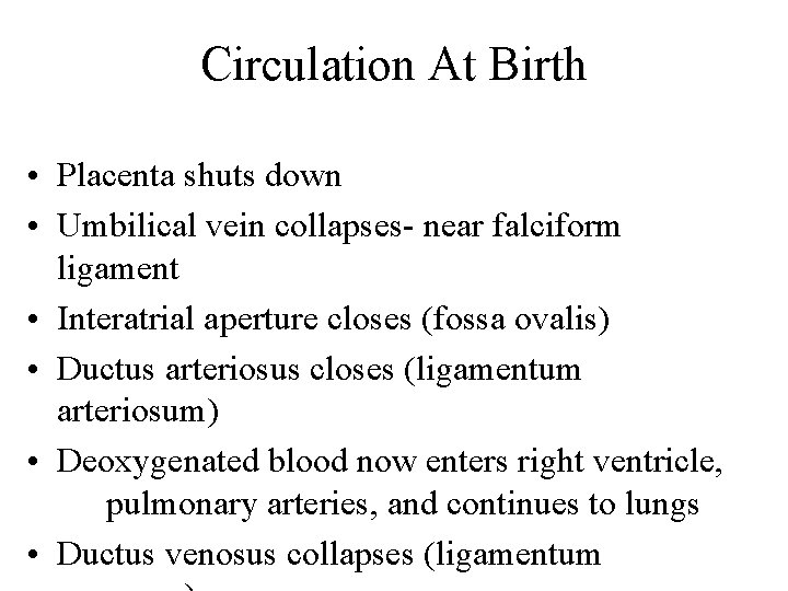 Circulation At Birth • Placenta shuts down • Umbilical vein collapses- near falciform ligament
