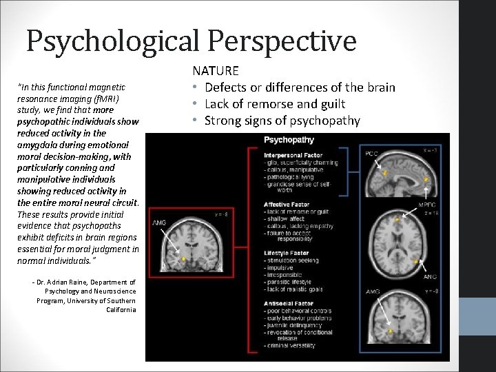 Psychological Perspective “In this functional magnetic resonance imaging (f. MRI) study, we find that Psychological Perspective “In this functional magnetic resonance imaging (f. MRI) study, we find that