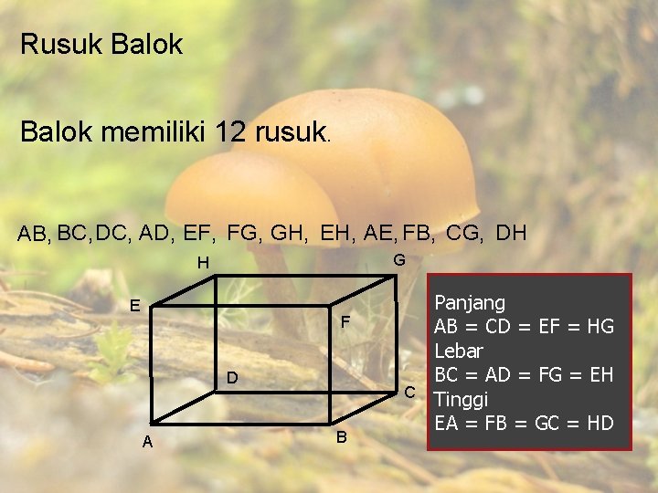 Rusuk Balok memiliki 12 rusuk. AB, BC, DC, AD, EF, FG, GH, EH, AE,