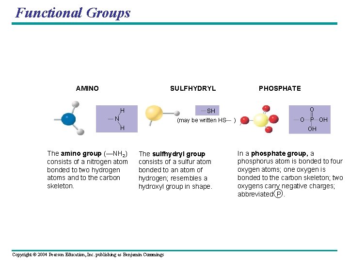 Functional Groups AMINO SULFHYDRYL H O SH N (may be written HS H The Functional Groups AMINO SULFHYDRYL H O SH N (may be written HS H The