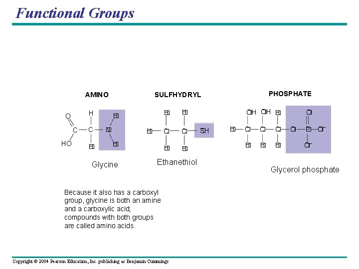 Functional Groups H O C H � PHOSPHATE SULFHYDRYL AMINO H � N � Functional Groups H O C H � PHOSPHATE SULFHYDRYL AMINO H � N �