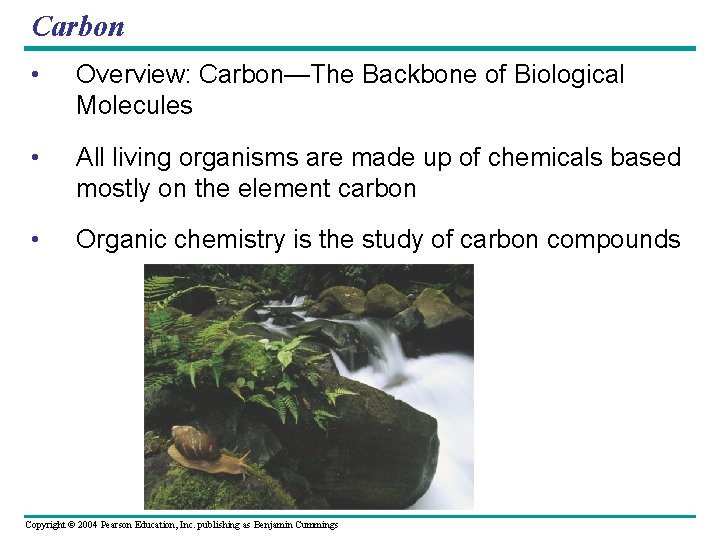 Carbon • Overview: Carbon—The Backbone of Biological Molecules • All living organisms are made Carbon • Overview: Carbon—The Backbone of Biological Molecules • All living organisms are made